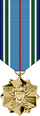 Joint Service Achievement