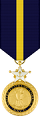 Navy Dist Service