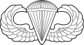 Parachutist